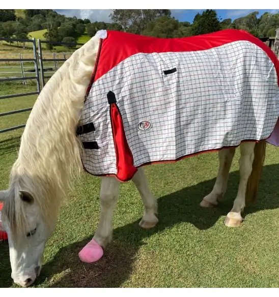 Rainsheet Cotton Show Set Horse Rugs Red|Horse Rugs | LOVE MY HORSE - Australia