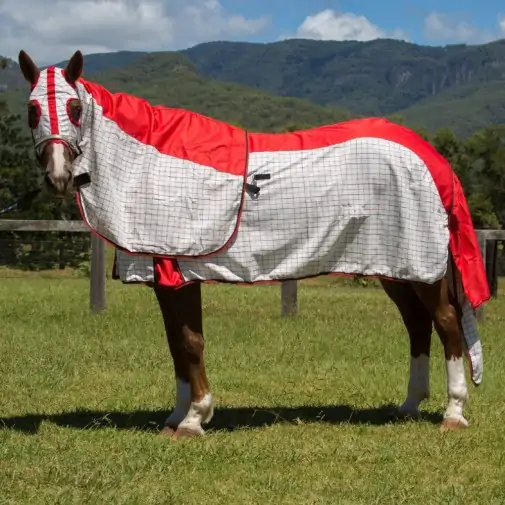 Rainsheet Cotton Show Set Horse Rugs Red|Horse Rugs | LOVE MY HORSE - Australia