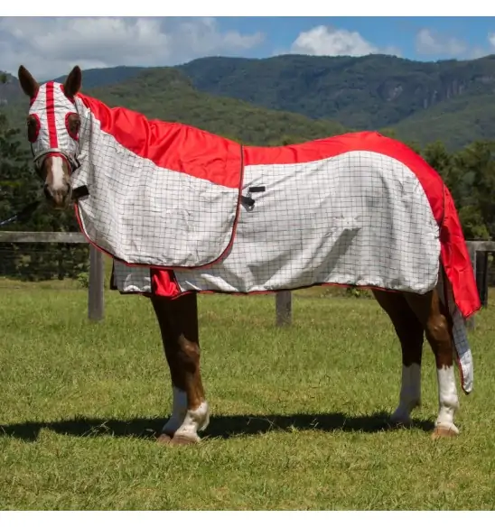 Rainsheet Cotton Show Set Horse Rugs Red|Horse Rugs | LOVE MY HORSE - Australia