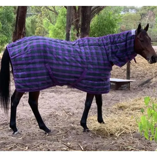 Purple / Green check stable combo horse rug
