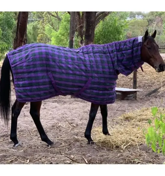 Purple / Green check stable combo horse rug