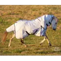 Mini horse wearing a blue poly cotton combo for insect protection and Uv protection