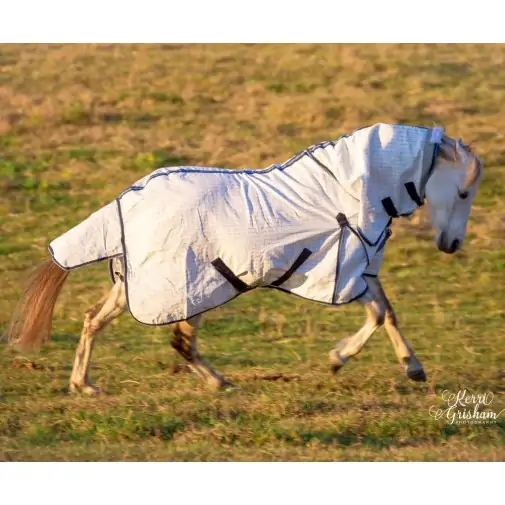 Mini horse wearing a blue poly cotton combo for insect protection and Uv protection