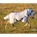 Mini horse wearing a blue poly cotton combo for insect protection and Uv protection