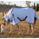 Mini horse wearing a blue poly cotton combo for insect protection and Uv protection