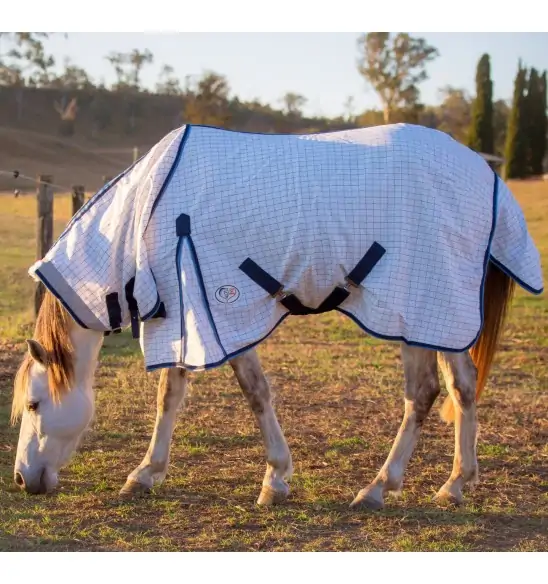 Mini horse wearing a blue poly cotton combo for insect protection and Uv protection