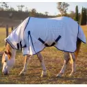 Mini horse wearing a blue poly cotton combo for insect protection and Uv protection
