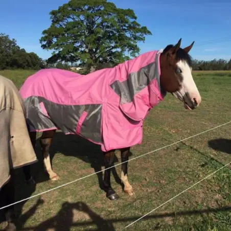 horse wearing pink rainsheet mesh hybrid with pink waterproof top layer and silver mesh side panels
