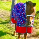 600D 180g Combo Horse Rugs Mini Stars | LOVE MY HORSE AU