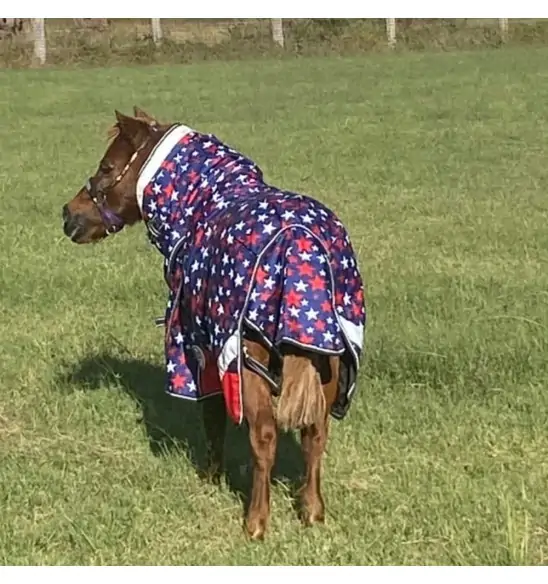 Miniature 600D Winter 180g Combo Horse Rugs Red Stars|Horse Rugs | LOVE MY HORSE - Australia