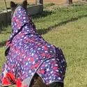 600D 180g Combo Horse Rugs Mini Stars | LOVE MY HORSE AU