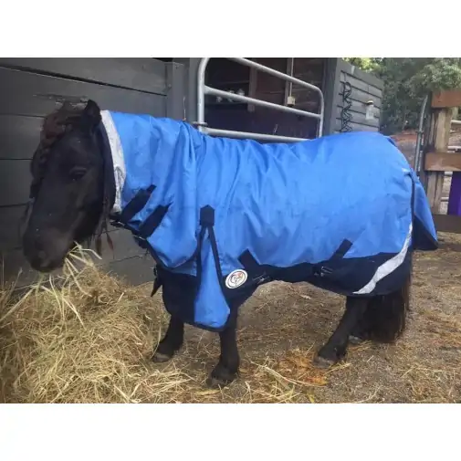 Horse wearing Love my Horse Blue Mini winter combo with neck attached