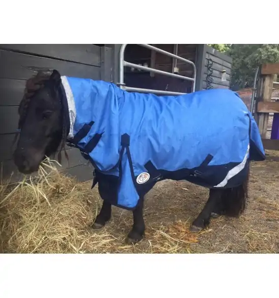 Horse wearing Love my Horse Blue Mini winter combo with neck attached
