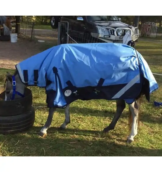 Horse wearing Love my Horse Blue Mini winter combo with neck attached