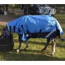 Horse wearing Love my Horse Blue Mini winter combo with neck attached