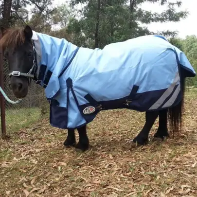 Horse wearing Love my Horse Blue Mini winter combo with neck attached 2
