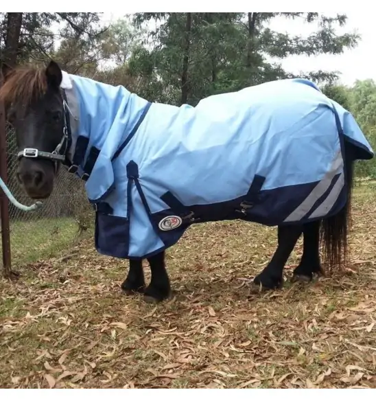Horse wearing Love my Horse Blue Mini winter combo with neck attached