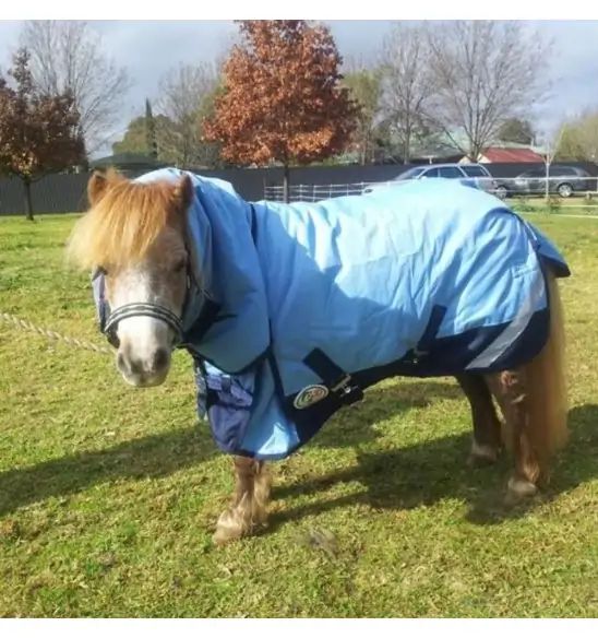 Horse wearing Love my Horse Blue Mini winter combo with neck attached