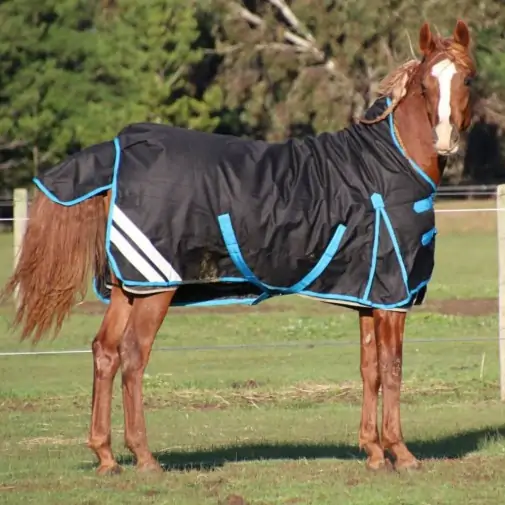 1200 Denier Winter Wug Horse Rug Black – 180g High Neck Fit|Horse Rugs | LOVE MY HORSE - Australia