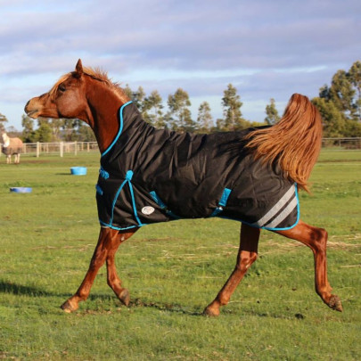 1200D Winter High Wither 180g Wug Horse Rugs Black 2