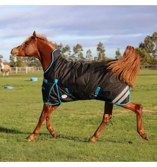 1200 Denier Winter Wug Horse Rug Black – 180g High Neck Fit|Horse Rugs | LOVE MY HORSE - Australia