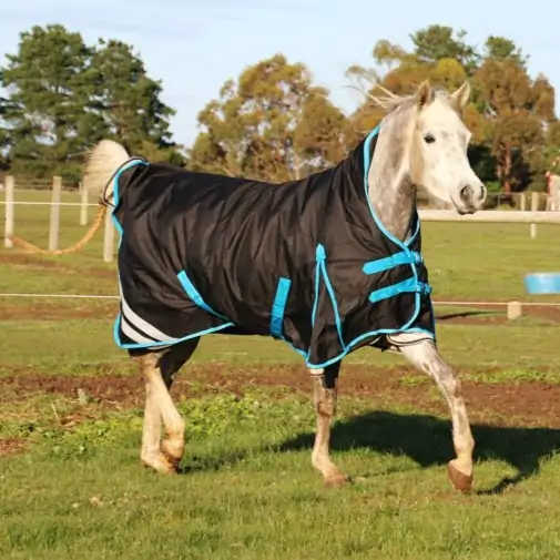 1200 Denier Winter Wug Horse Rug Black – 180g High Neck Fit|Horse Rugs | LOVE MY HORSE - Australia