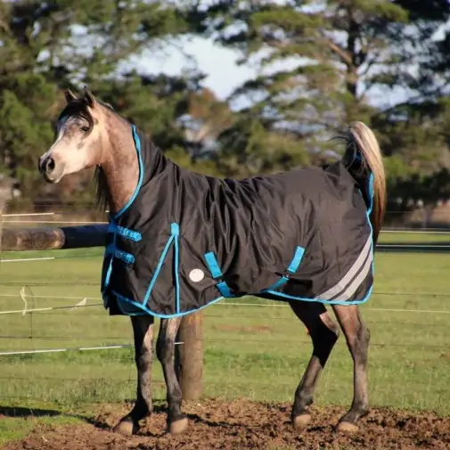 1200 Denier Winter Wug Horse Rug Black – 180g High Neck Fit|Horse Rugs | LOVE MY HORSE - Australia