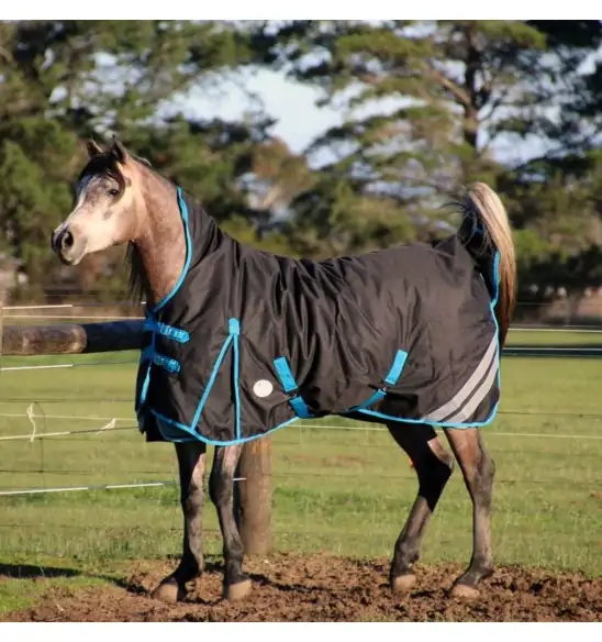 1200 Denier Winter Wug Horse Rug Black – 180g High Neck Fit|Horse Rugs | LOVE MY HORSE - Australia
