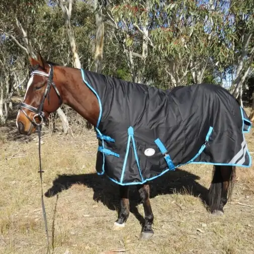 1200 Denier Winter Wug Horse Rug Black – 180g High Neck Fit|Horse Rugs | LOVE MY HORSE - Australia