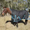 1200 Denier Winter Wug Horse Rug Black – 180g High Neck Fit|Horse Rugs | LOVE MY HORSE - Australia