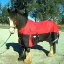 Clydesdale Winter Heavy Horse Rugs Red|Horse Rugs | LOVE MY HORSE - Australia