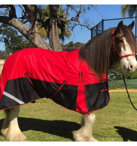 Clydesdale Winter Heavy Horse Rugs Red|Horse Rugs | LOVE MY HORSE - Australia