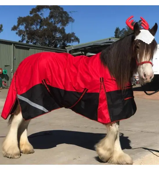 Clydesdale Winter Heavy Horse Rugs Red|Horse Rugs | LOVE MY HORSE - Australia