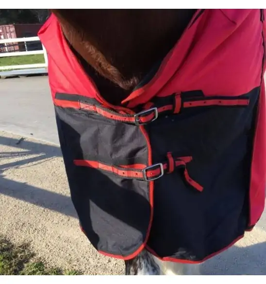 Clydesdale Winter Heavy Horse Rugs Red|Horse Rugs | LOVE MY HORSE - Australia