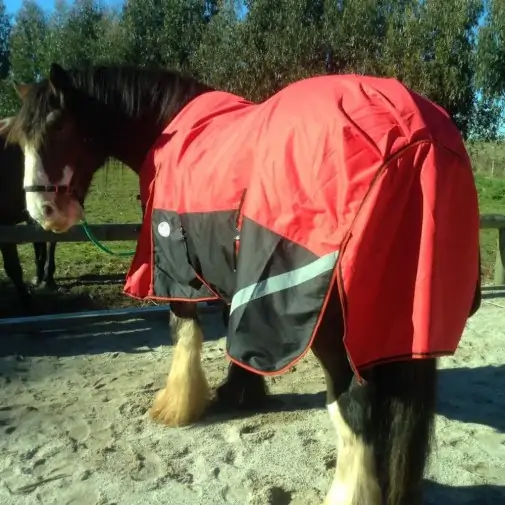 Clydesdale Winter Heavy Horse Rugs Red|Horse Rugs | LOVE MY HORSE - Australia