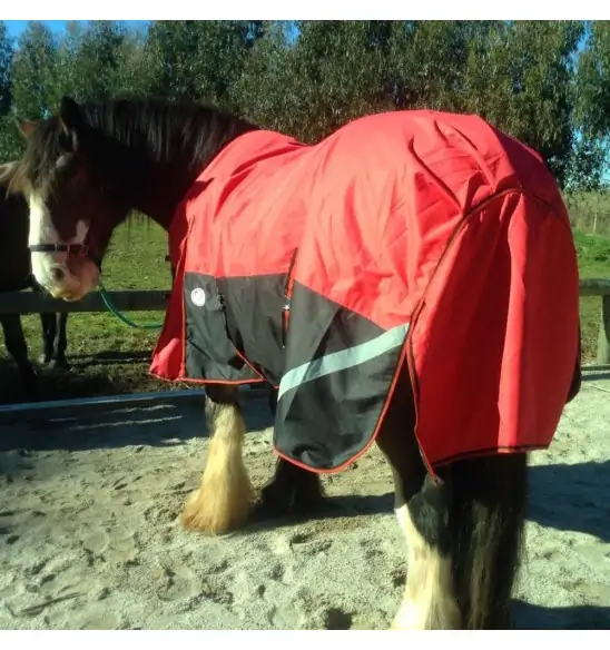 Clydesdale Winter Heavy Horse Rugs Red|Horse Rugs | LOVE MY HORSE - Australia