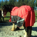 Clydesdale Winter Heavy Horse Rug Red|Horse Rugs Australia - LOVE MY HORSE