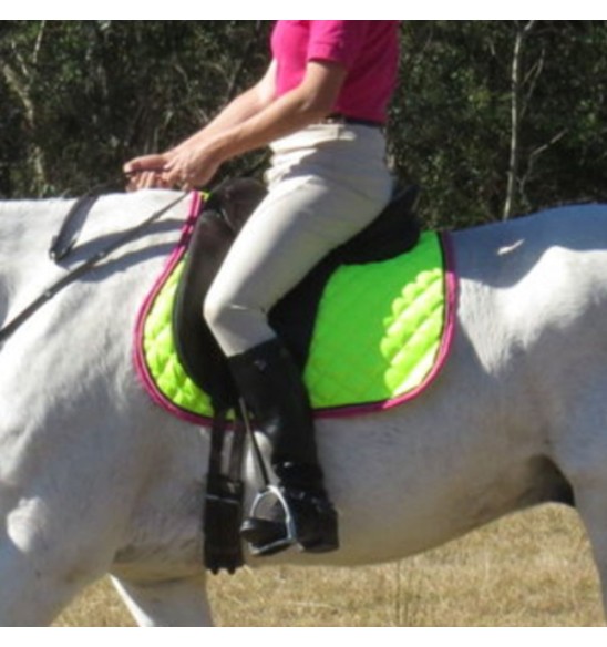 General Purpose Saddle Pad Lime|Horse Rugs | LOVE MY HORSE - Australia