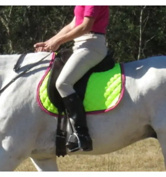 General Purpose Saddle Pad Lime|Horse Rugs | LOVE MY HORSE - Australia