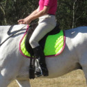 General Purpose Saddle Pad Lime|Horse Rugs | LOVE MY HORSE - Australia