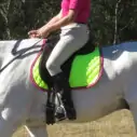 General Purpose Saddle Pad Lime|Horse Rugs | LOVE MY HORSE - Australia