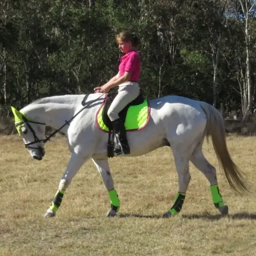 General Purpose Saddle Pad Lime|Horse Rugs | LOVE MY HORSE - Australia