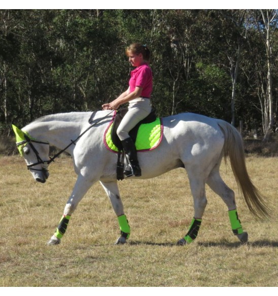 General Purpose Saddle Pad Lime|Horse Rugs | LOVE MY HORSE - Australia