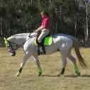 General Purpose Saddle Pad Lime|Horse Rugs | LOVE MY HORSE - Australia