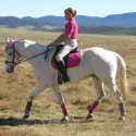 Saddle Pad Pink | LOVE MY HORSE