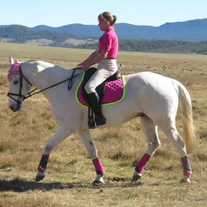 General Purpose Saddle Pad Pink 2