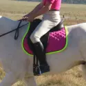Saddle Pad Pink | LOVE MY HORSE