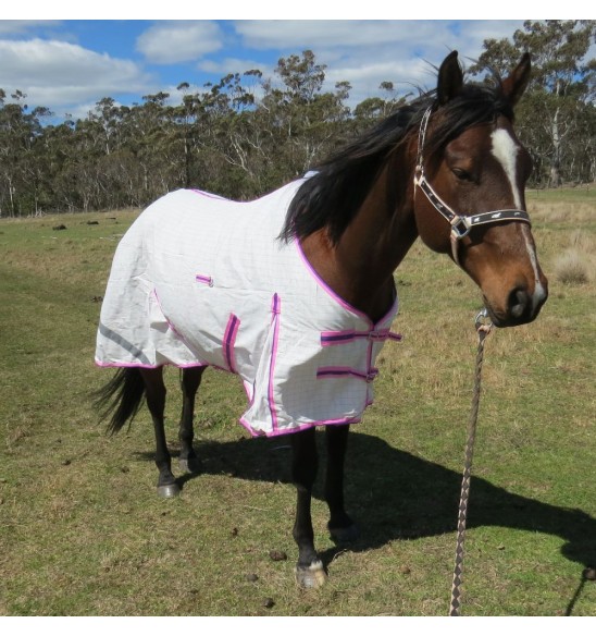 Cotton Hood Set Horse Rugs Pink|Horse Rugs | LOVE MY HORSE - Australia