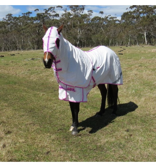 Cotton Hood Set Horse Rugs Pink|Horse Rugs | LOVE MY HORSE - Australia