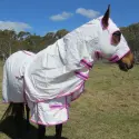 Pink Poly Cotton Rug Hood Set Horse Rugs | LOVE MY HORSE AU